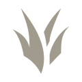 정글